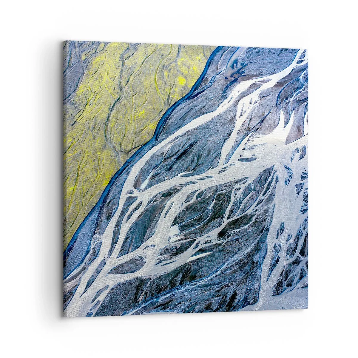 Schilderen op canvas - Rotstekeningen van de natuur - 50x50 cm