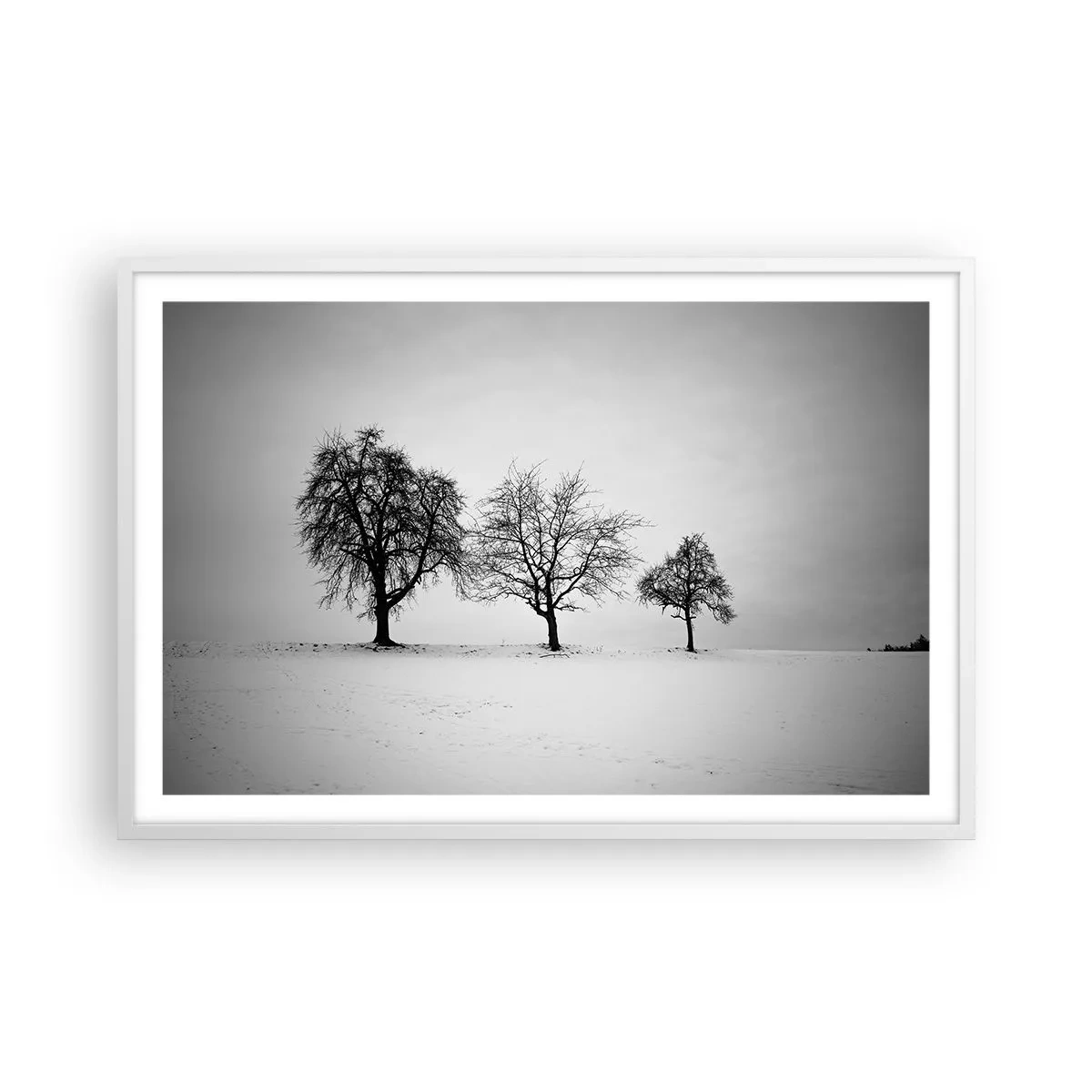 Poster in een witte lijst - Waar dromen ze over? - 91x61 cm