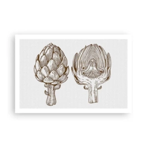 Poster - Anatomieles - 91x61 cm