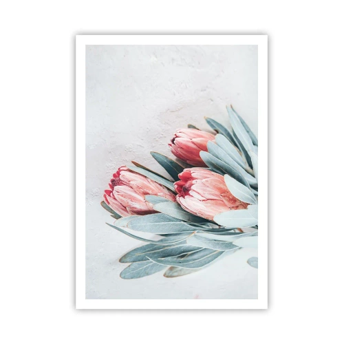 Poster - Schaamt zich voor hun eigen schoonheid - 70x100 cm