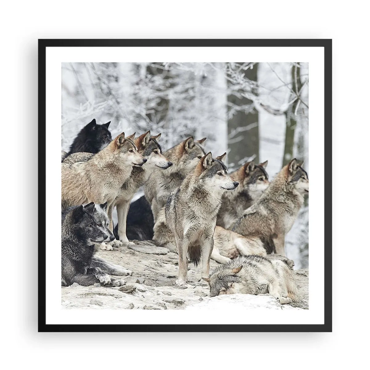 Poster in een zwarte lijst - Familie en vrienden - 60x60 cm
