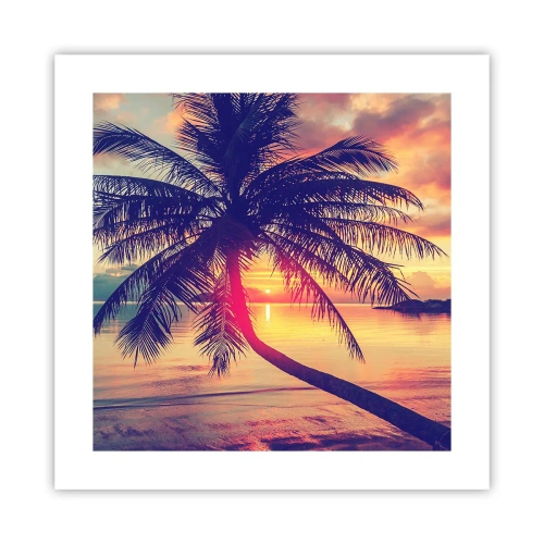 Poster - Avond onder de palmbomen - 40x40 cm