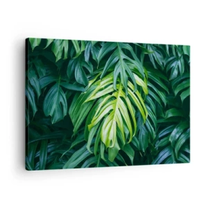 Schilderen op canvas - Groene bladeren in een dichte tropische opstelling - 70x50cm - Dompel jezelf onder in de frisheid - Moderne wanddecoratie voor woonkamer en slaapkamer ARTTOR
