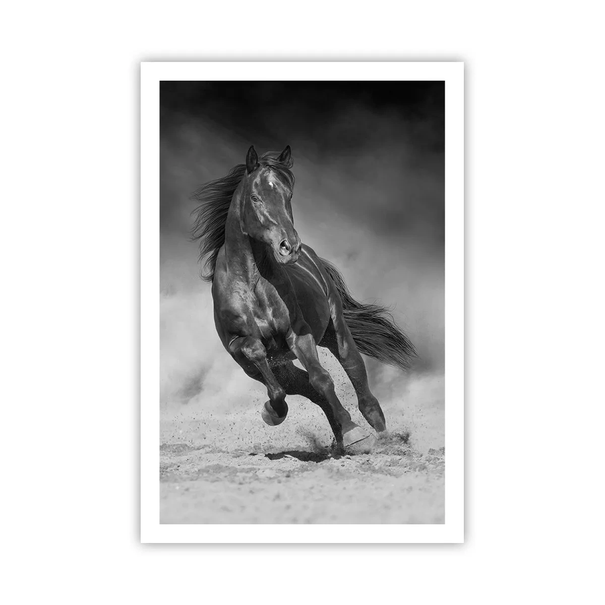 Poster - De emir zelf waardig - 61x91 cm