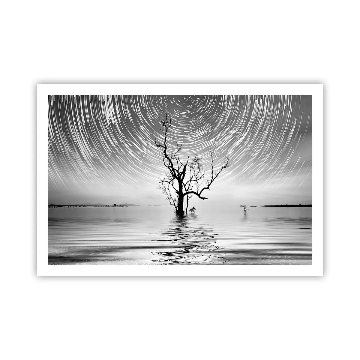 Poster - Een symfonie van de natuur - 91x61 cm