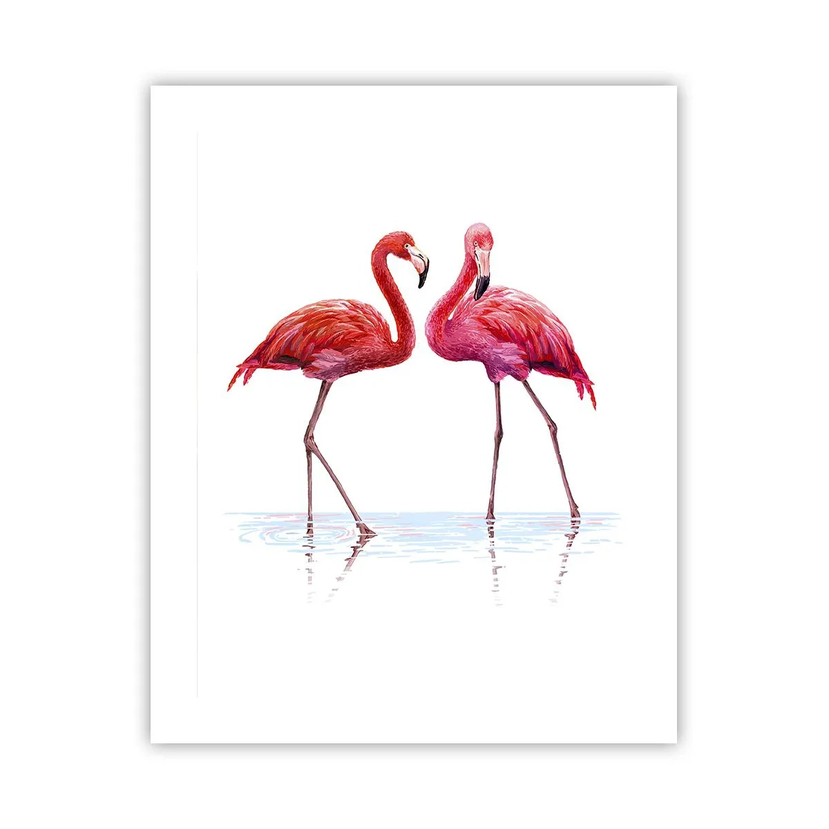 Poster - Roze randez-vous - 40x50 cm