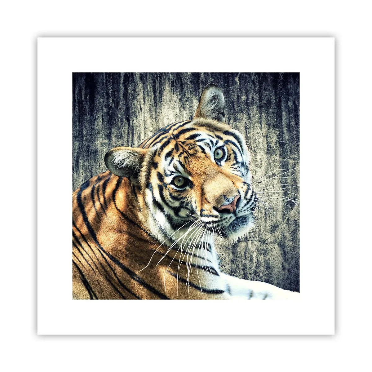 Poster - Portret in stromen van licht - 30x30 cm