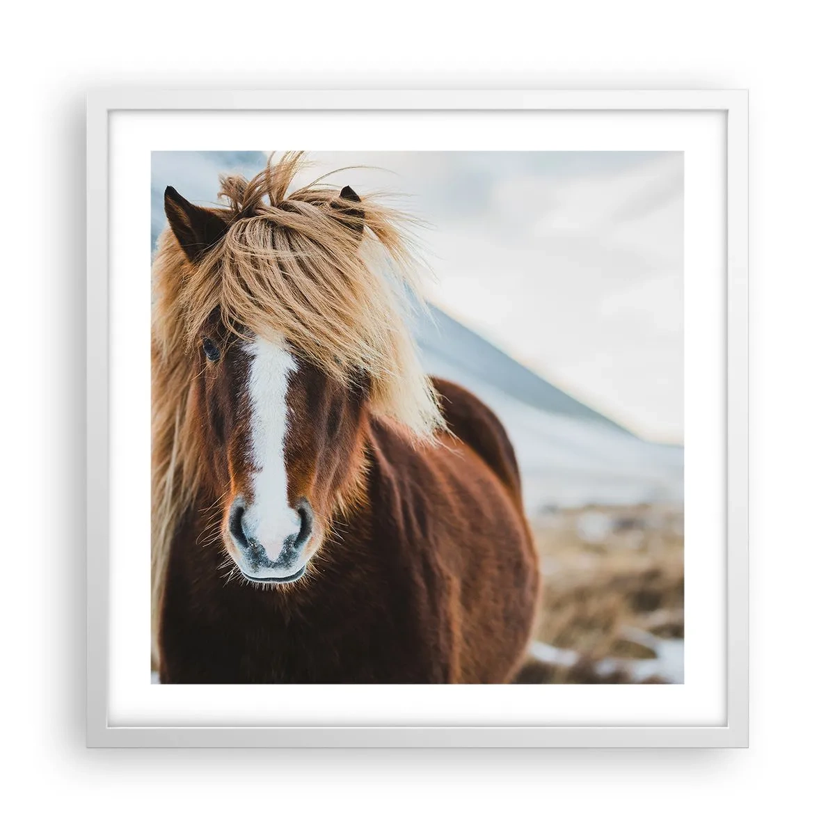 Poster in een witte lijst - Voel jij je vrij? - 50x50 cm