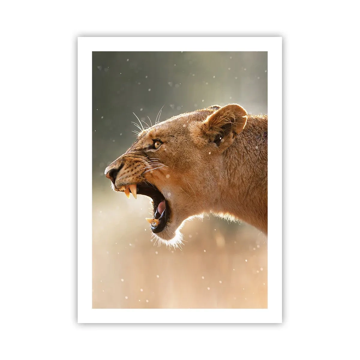 Poster - Probeer niet te luisteren - 50x70 cm