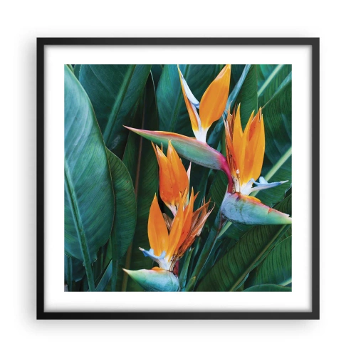 Poster in een zwarte lijst - Is het een bloem of is het een vogel? - 50x50 cm