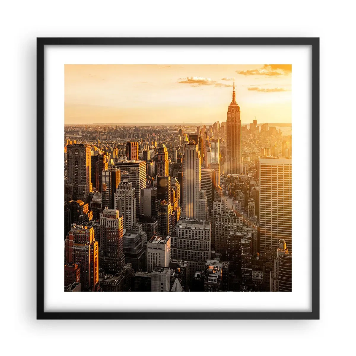 Poster in een zwarte lijst - Groeien in de zon - 50x50 cm