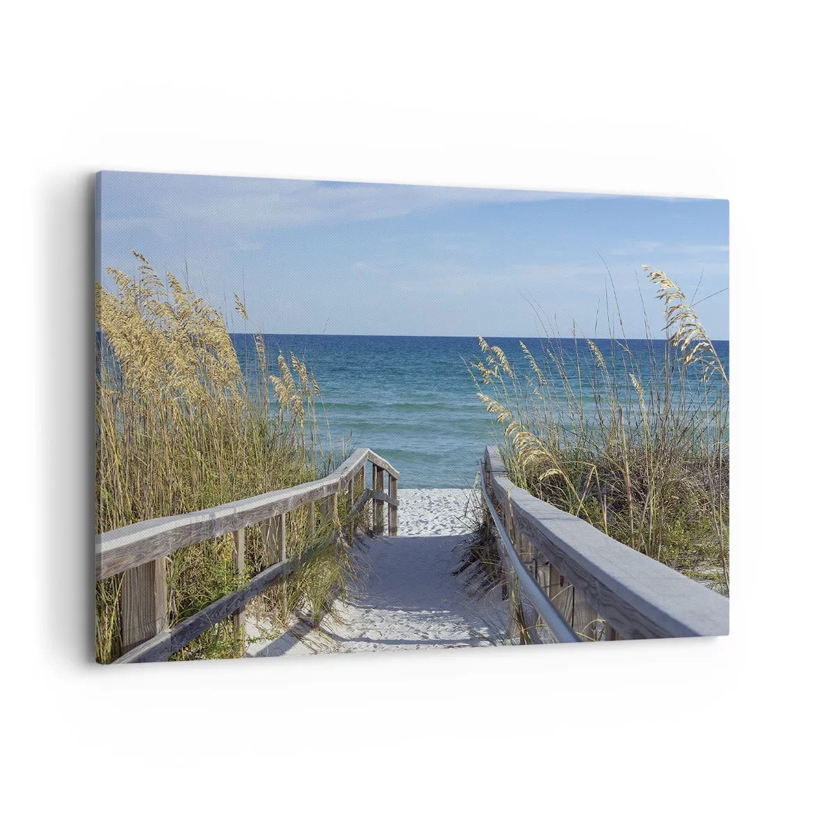 Schilderen op canvas - In de zon, in de wind - 100x70 cm