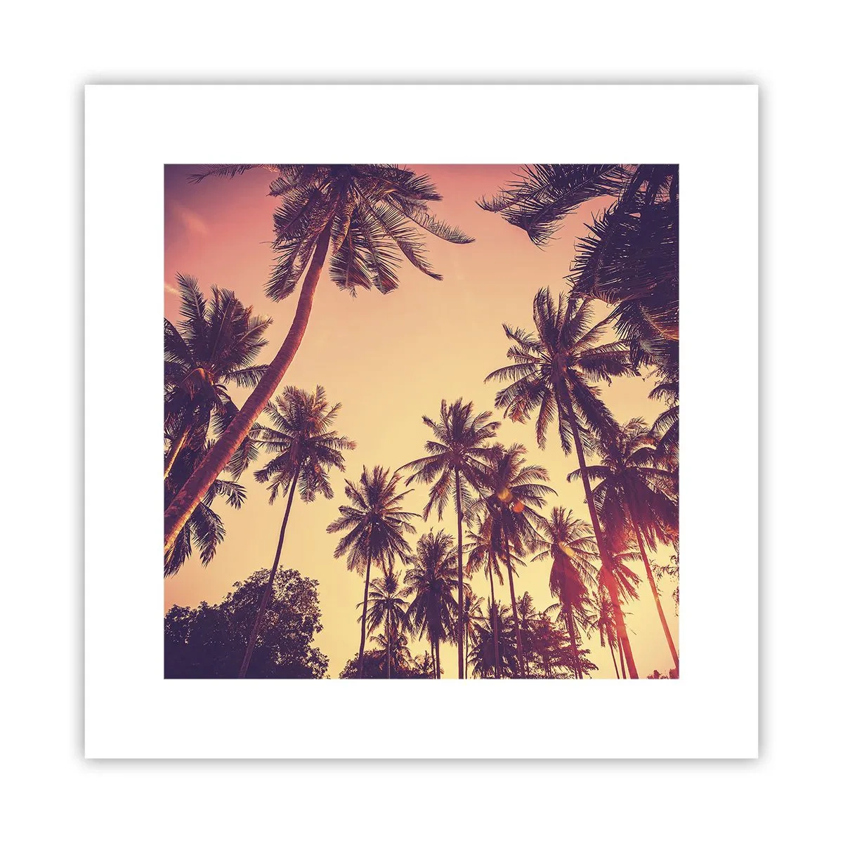 Poster - Een tropische variant - 30x30 cm