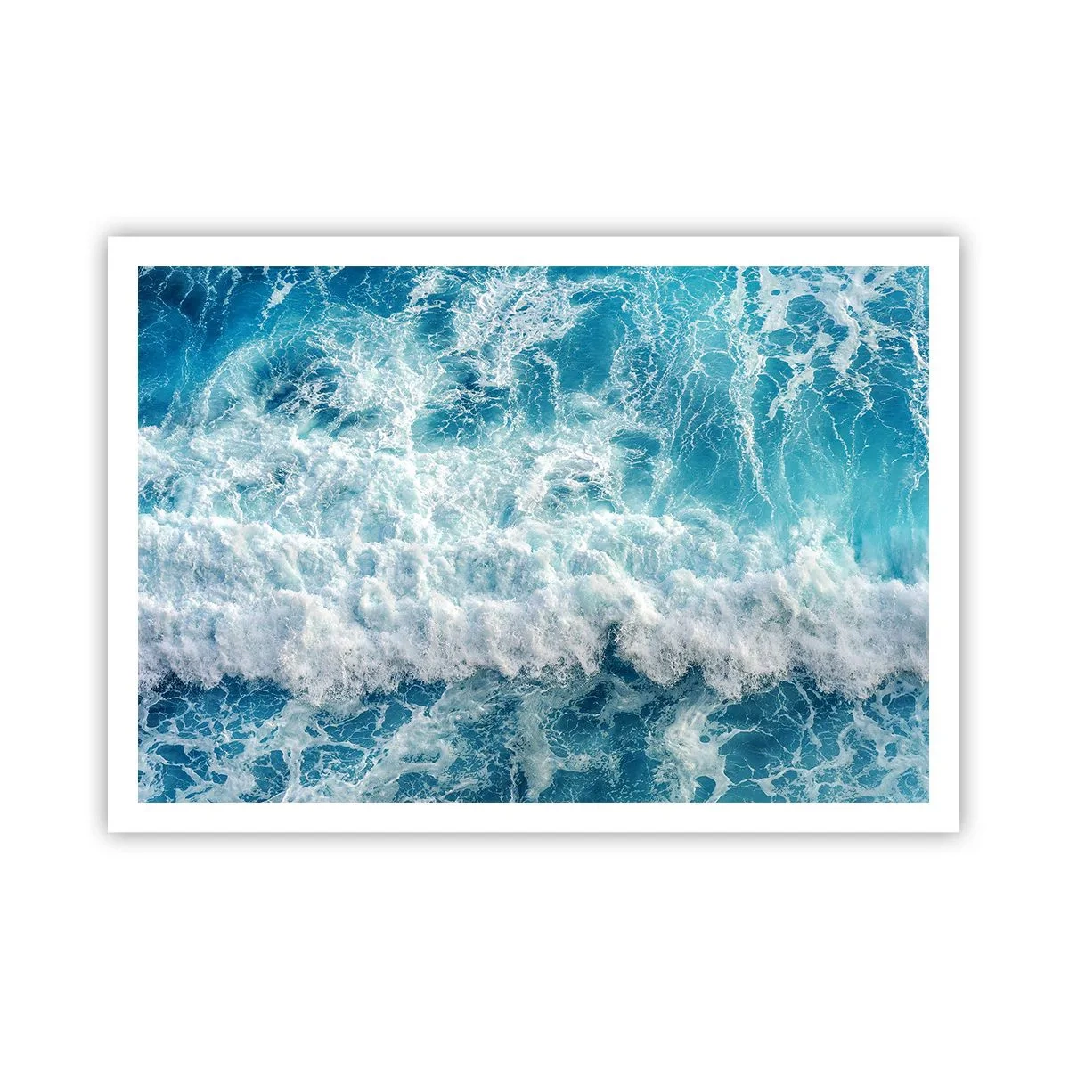 Poster - Vrolijk en springend - 100x70 cm