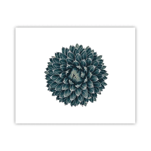 Poster - De ster van de woestijn - 50x40 cm