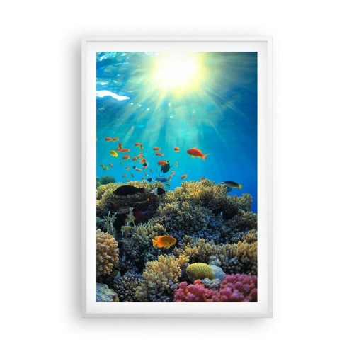 Poster in een witte lijst - Onderwater schatten - 61x91 cm