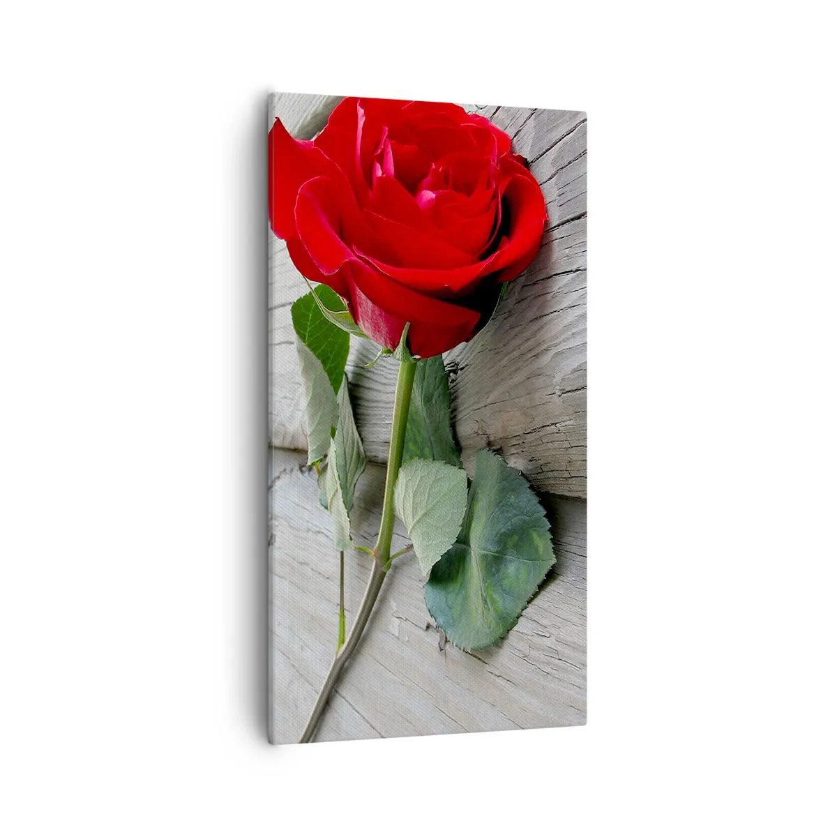 Schilderen op canvas - Een studie in scharlaken - 55x100 cm