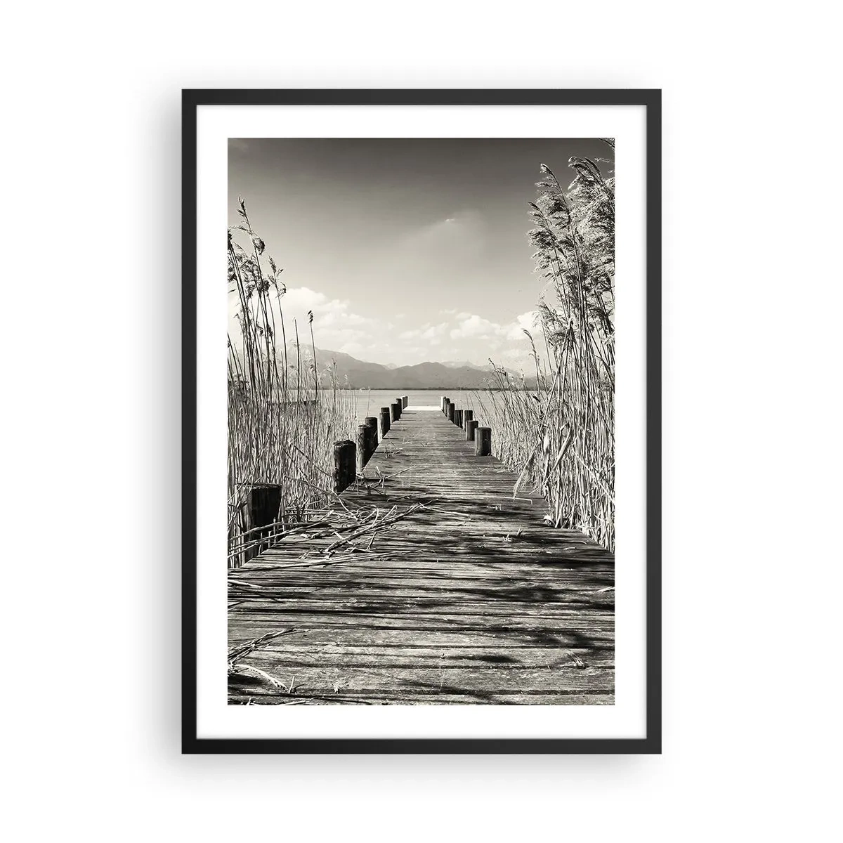 Poster in een zwarte lijst - In de stilte van het gras - 50x70 cm