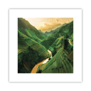 Poster - Vietnamese vallei - 30x30 cm