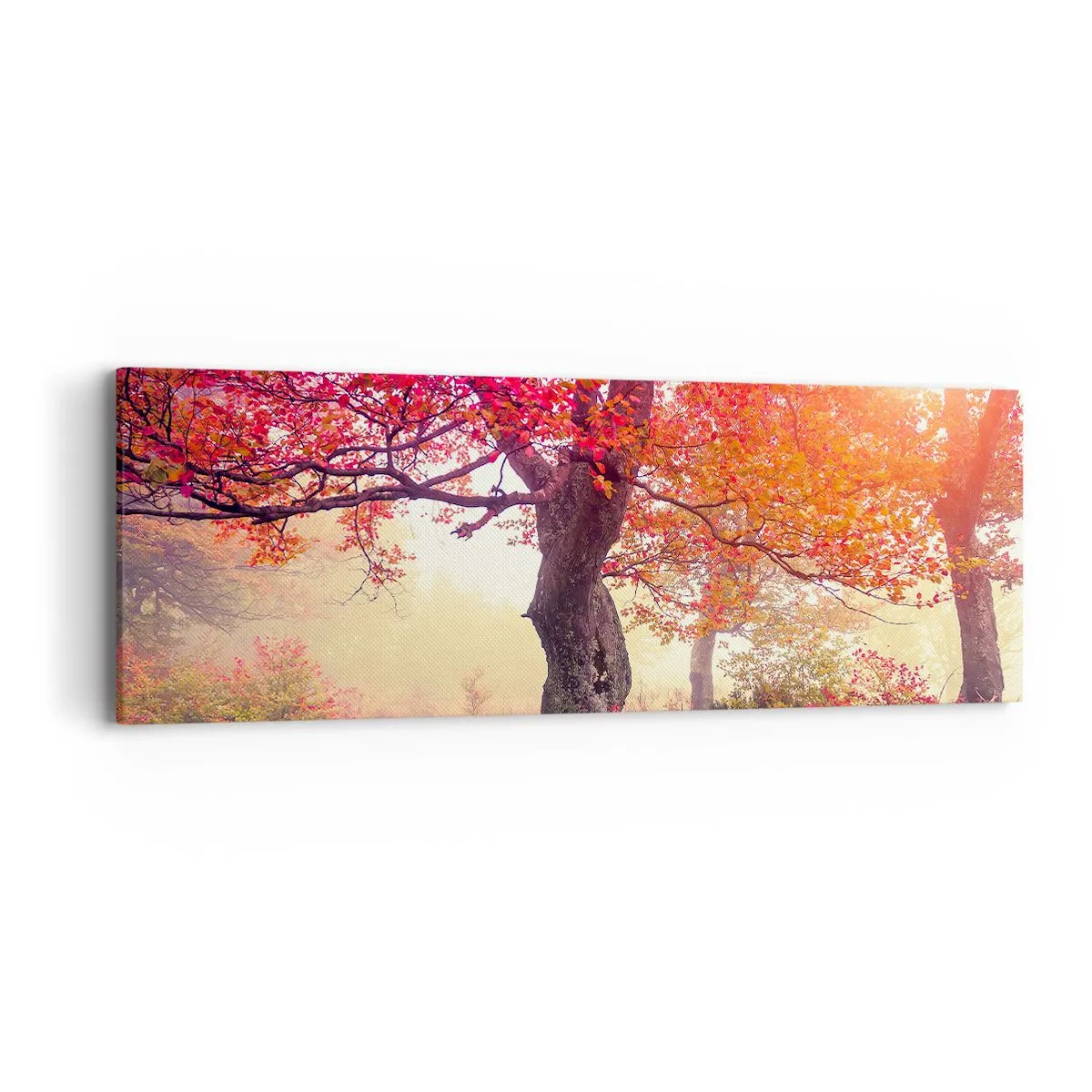 Schilderen op canvas - Bloeiende razernij - 90x30 cm