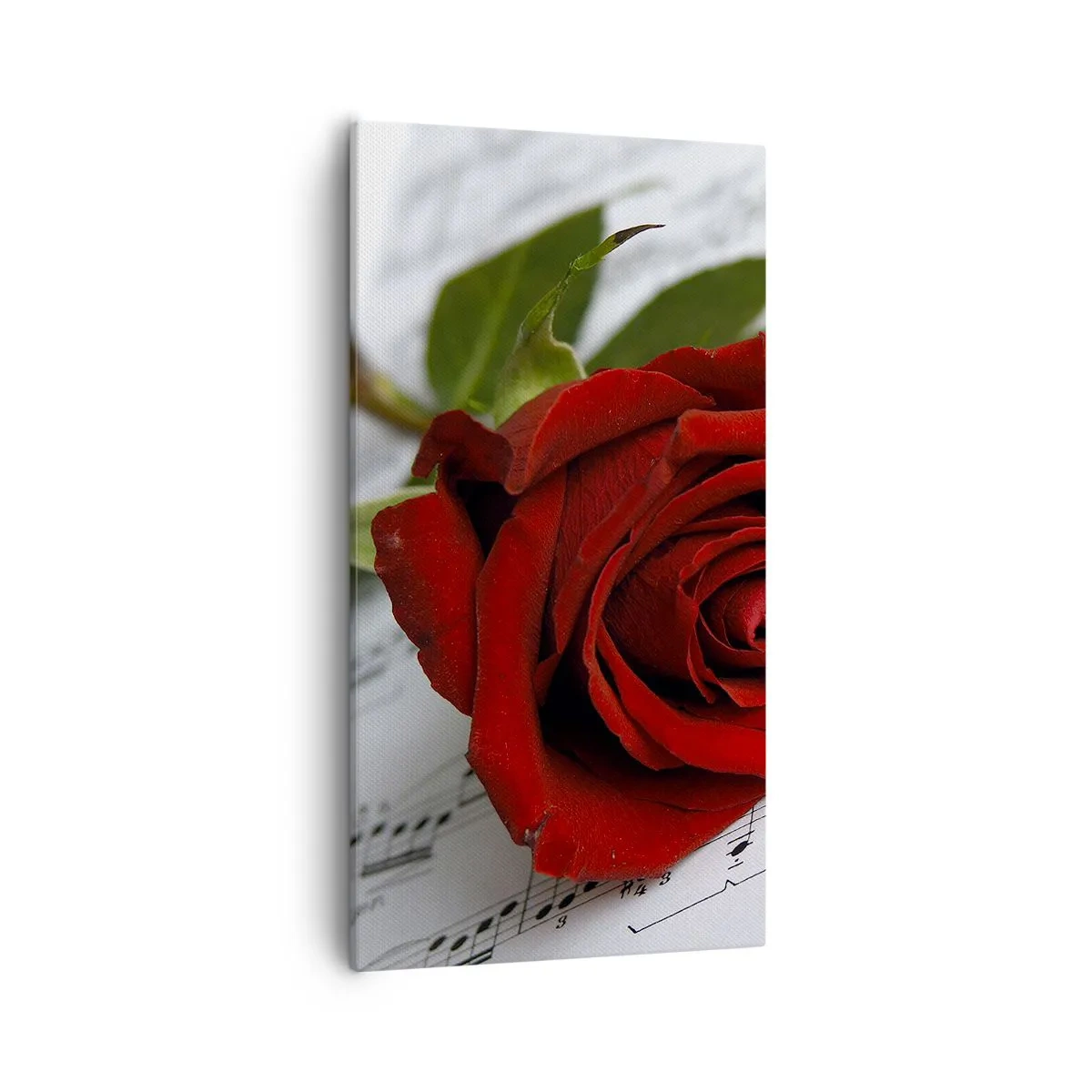 Schilderen op canvas - Muziek van gevoelens in scharlaken - 55x100 cm
