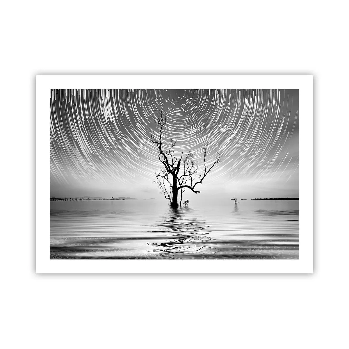 Poster - Een symfonie van de natuur - 70x50 cm