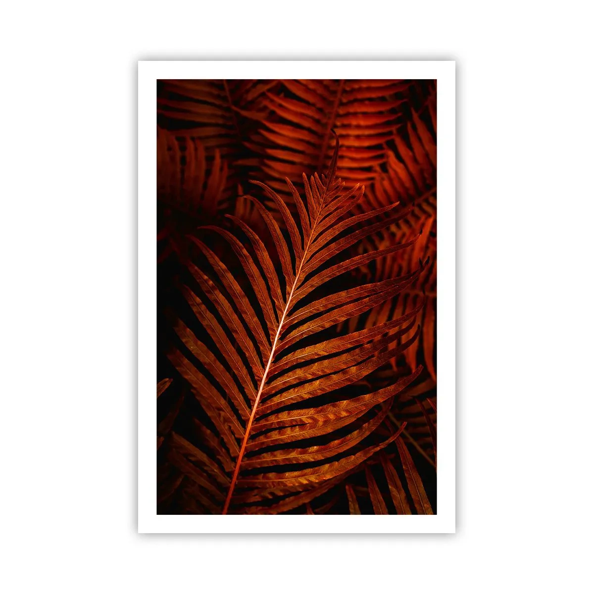 Poster - De hitte van het leven - 61x91 cm