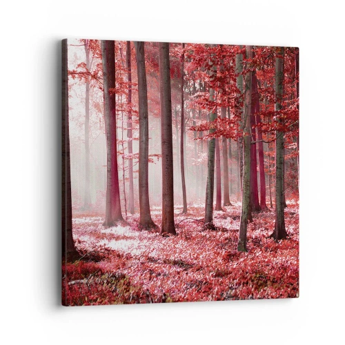 Schilderen op canvas - Rood is net zo mooi - 40x40 cm