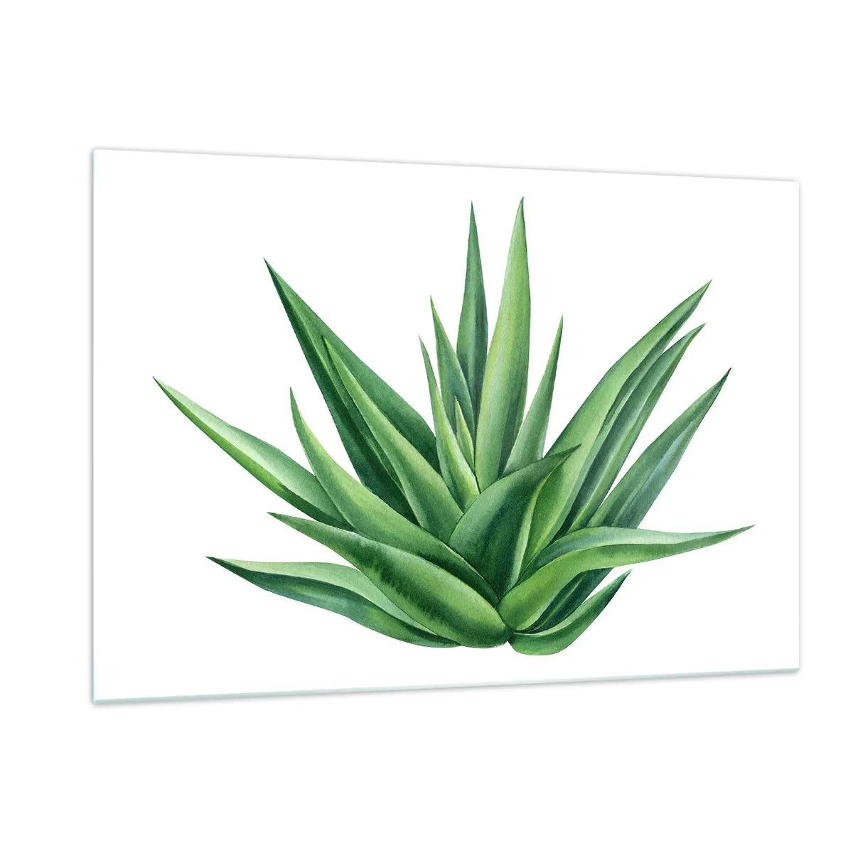 Schilderen op glas - Groen – kracht – leven - 120x80 cm