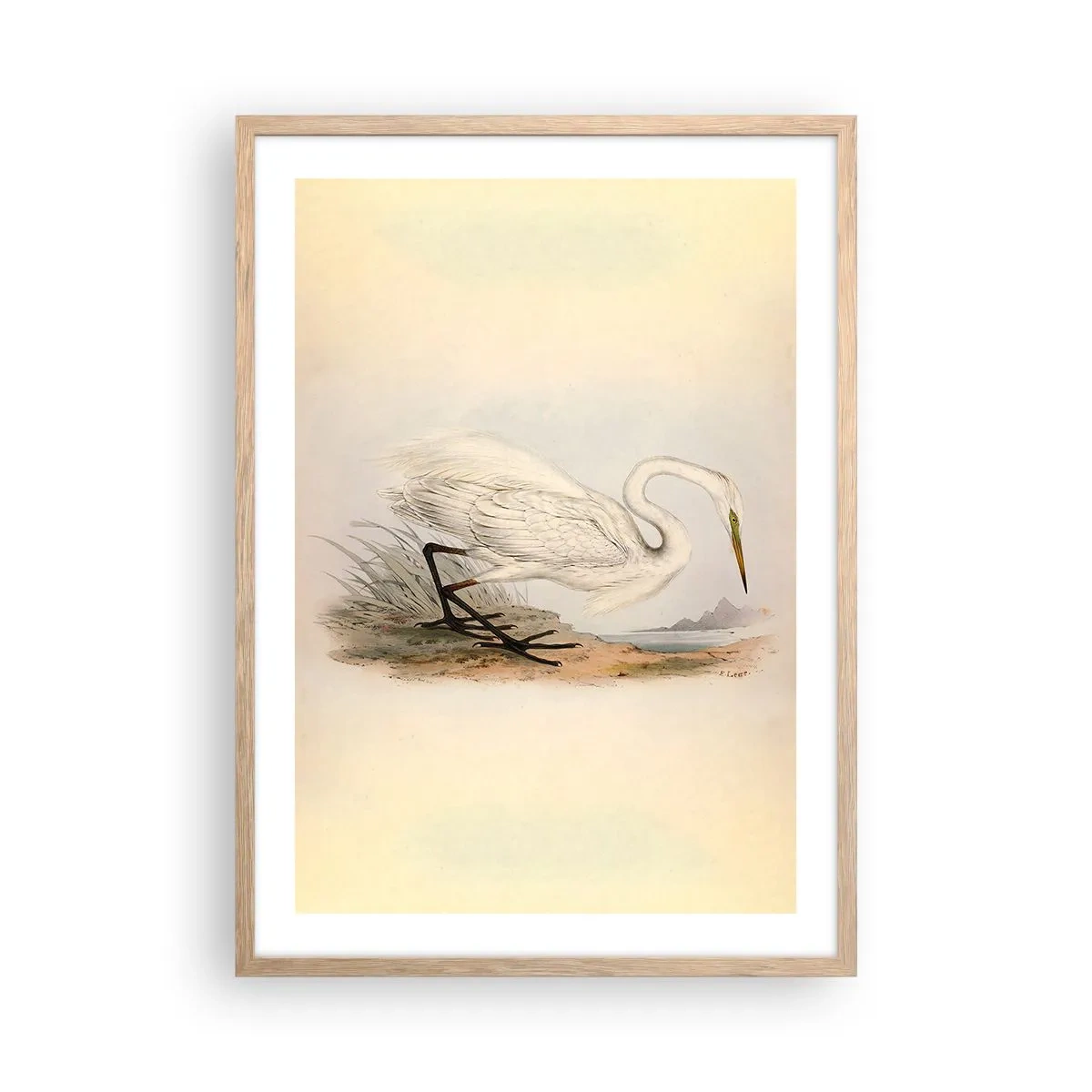 Een poster in een licht eiken lijst - Dame op de biezen - 50x70 cm