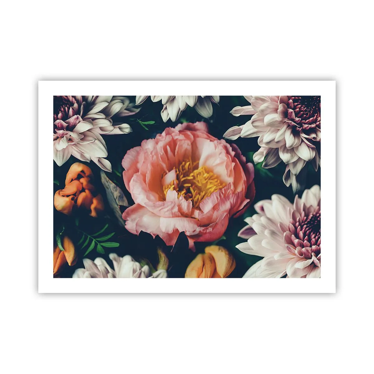 Poster - Met barokke pracht - 70x50 cm