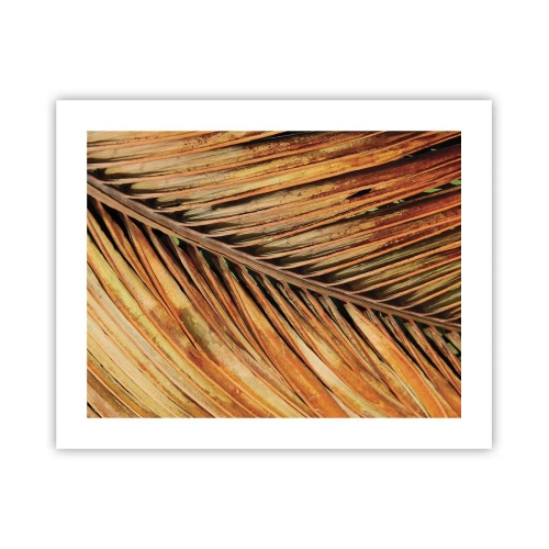 Poster - Kokos goud - 50x40 cm