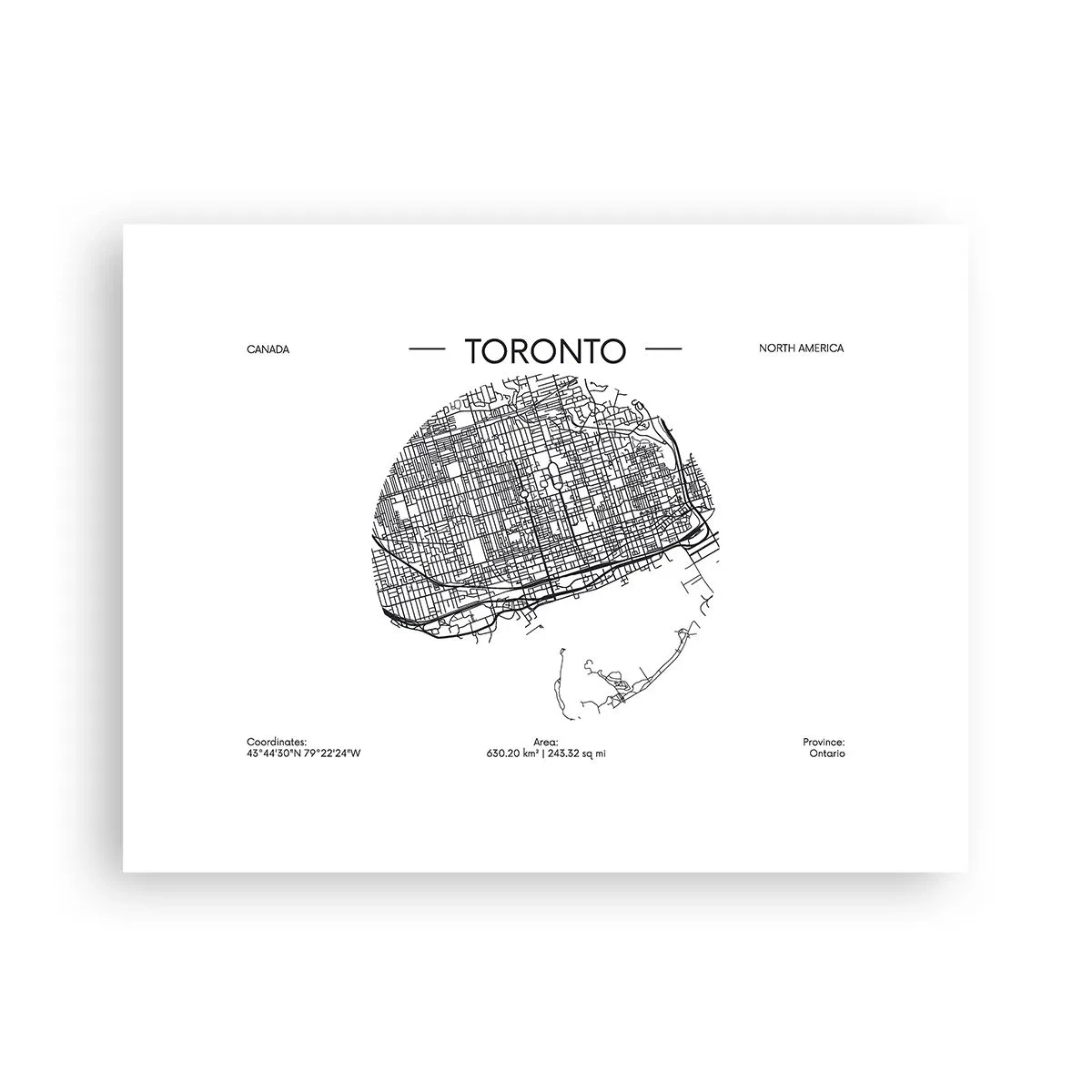 Poster - Anatomie van Toronto - 40x30 cm
