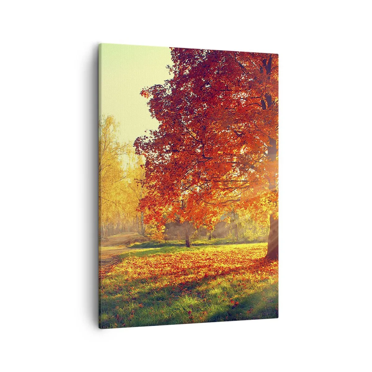 Schilderen op canvas - Rood is mooi - 50x70 cm