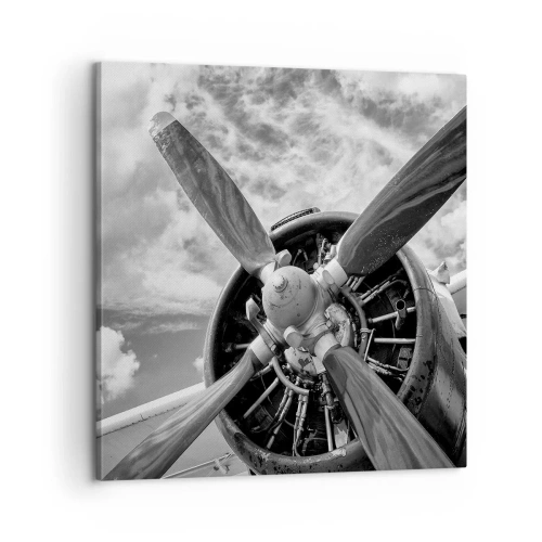 Schilderen op canvas - Veroveraar van de lucht - 60x60 cm