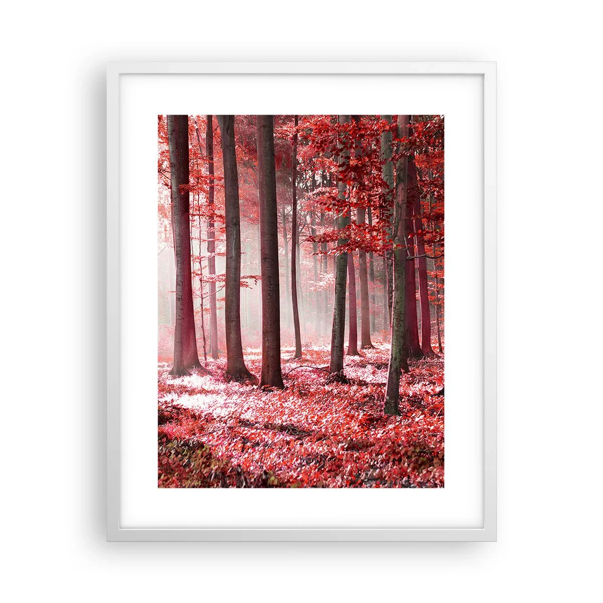 Poster in een witte lijst - Rood is net zo mooi - 40x50 cm