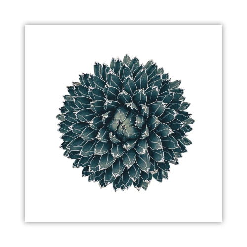 Poster - De ster van de woestijn - 50x50 cm