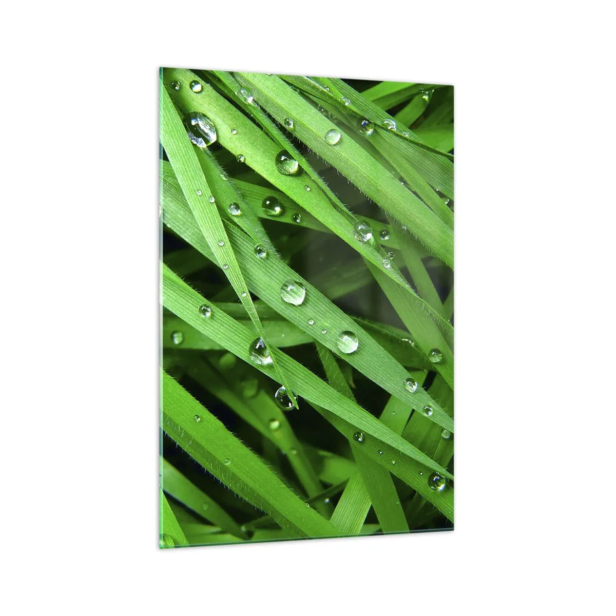 Schilderen op glas - Speel groen - 70x100 cm
