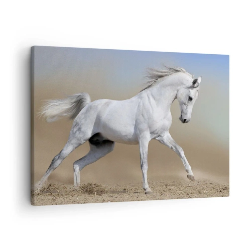 Schilderen op canvas - Een wit paard galoppeert door een woestijnlandschap - 70x50cm - Het mooiste Arabische sprookje - Moderne wanddecoratie voor woonkamer en slaapkamer ARTTOR