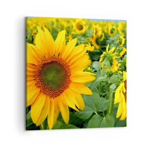 Schilderen op canvas - Honderden zonnen vlamden op - 60x60 cm