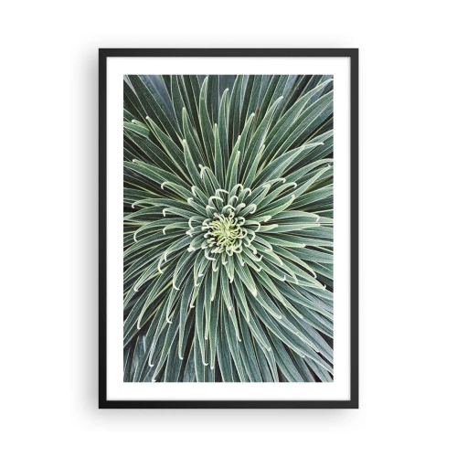 Poster in een zwarte lijst - Een close-up van een groene plant met symmetrische bladeren. - 50x70cm - Een ster is geboren - Moderne wanddecoratie voor woonkamer en slaapkamer ARTTOR