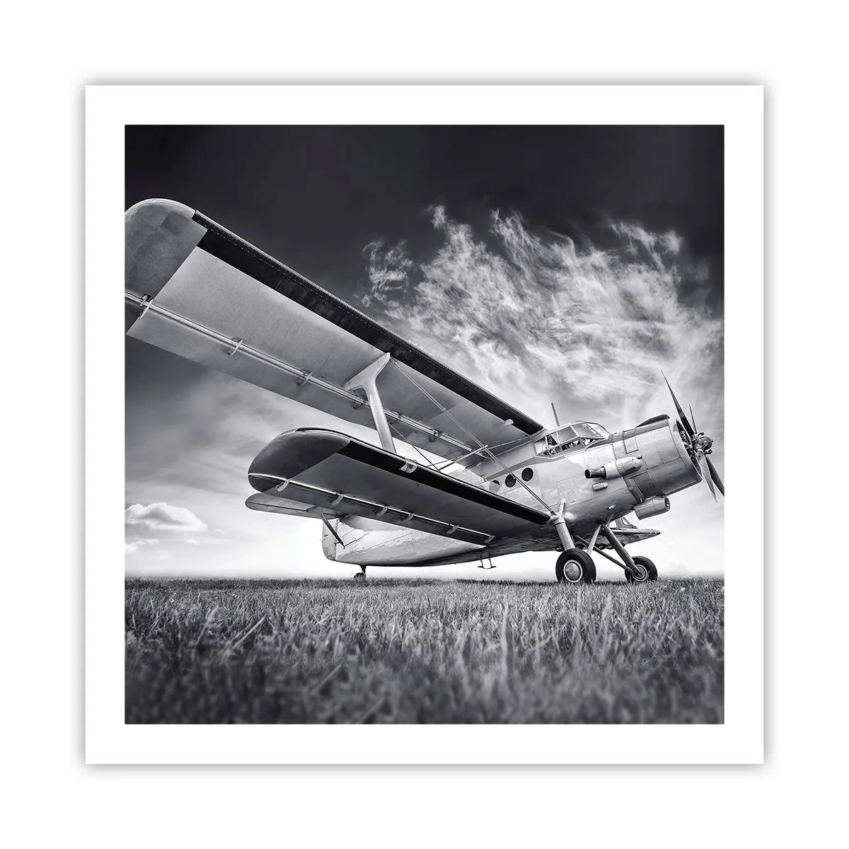 Poster - De gevleugelde zwerver - 60x60 cm