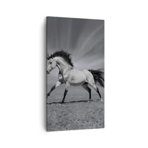 Schilderen op canvas - Geboren om te genieten - 45x80 cm