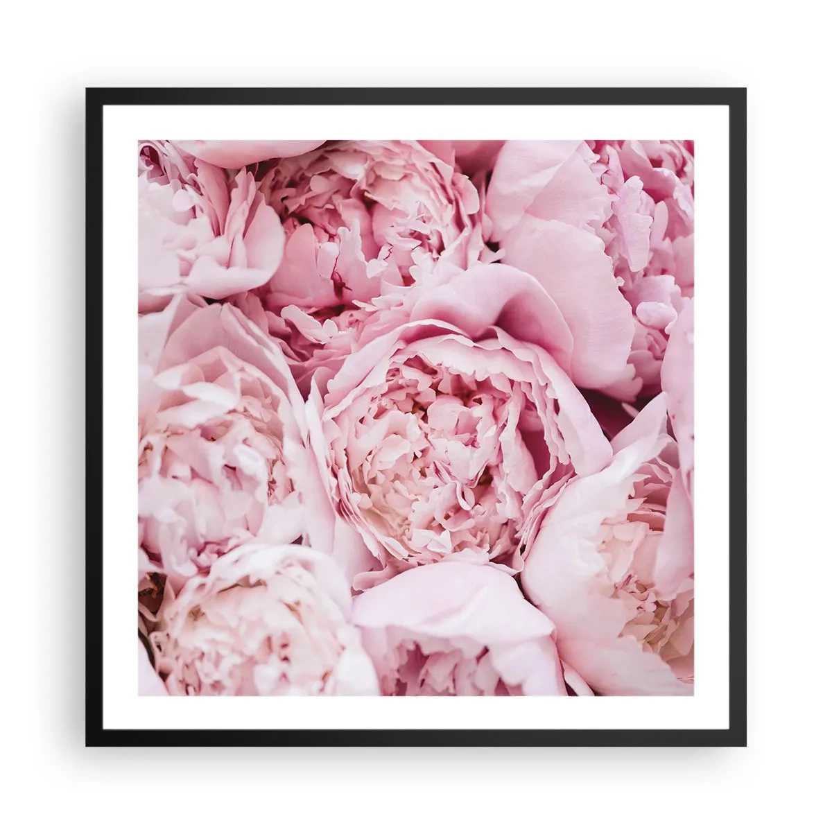 Poster in een zwarte lijst - Knuffelend en geurig - 60x60 cm