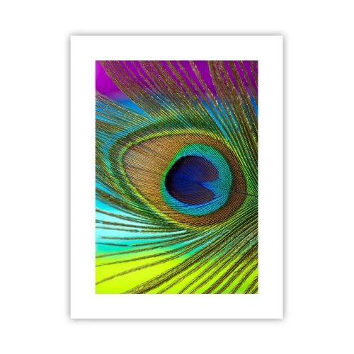 Poster - Oog in oog - 30x40 cm