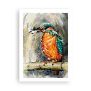 Poster - Wet van de natuur - 50x70 cm