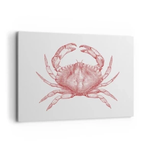 Schilderen op canvas - Krab der krabben - 120x80 cm