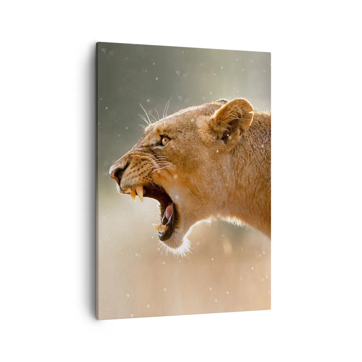 Schilderen op canvas - Probeer niet te luisteren - 50x70 cm
