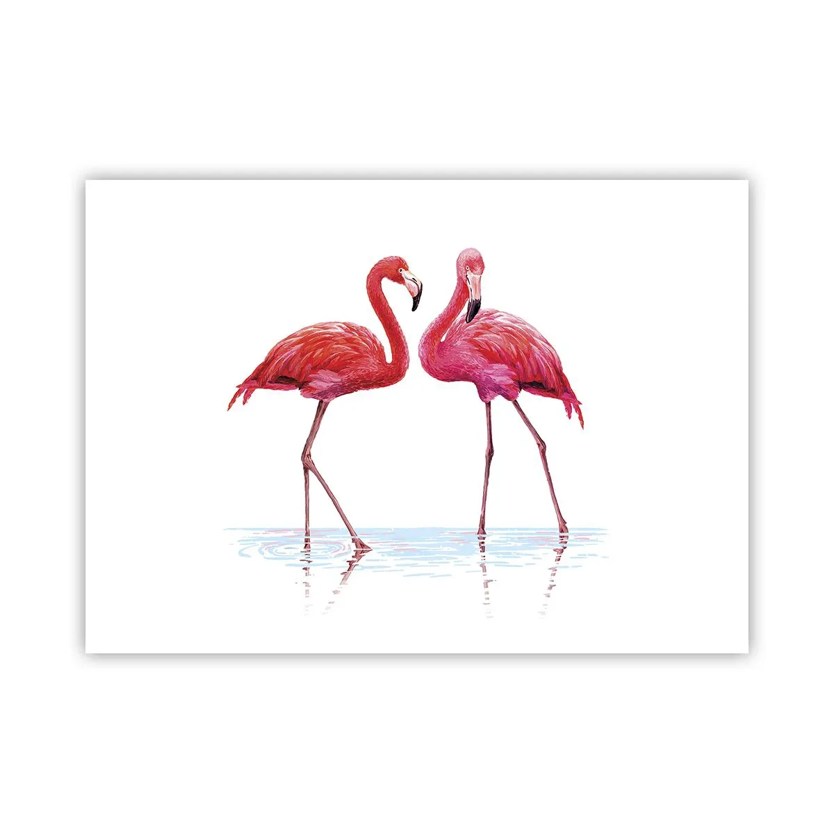 Poster - Roze randez-vous - 70x50 cm