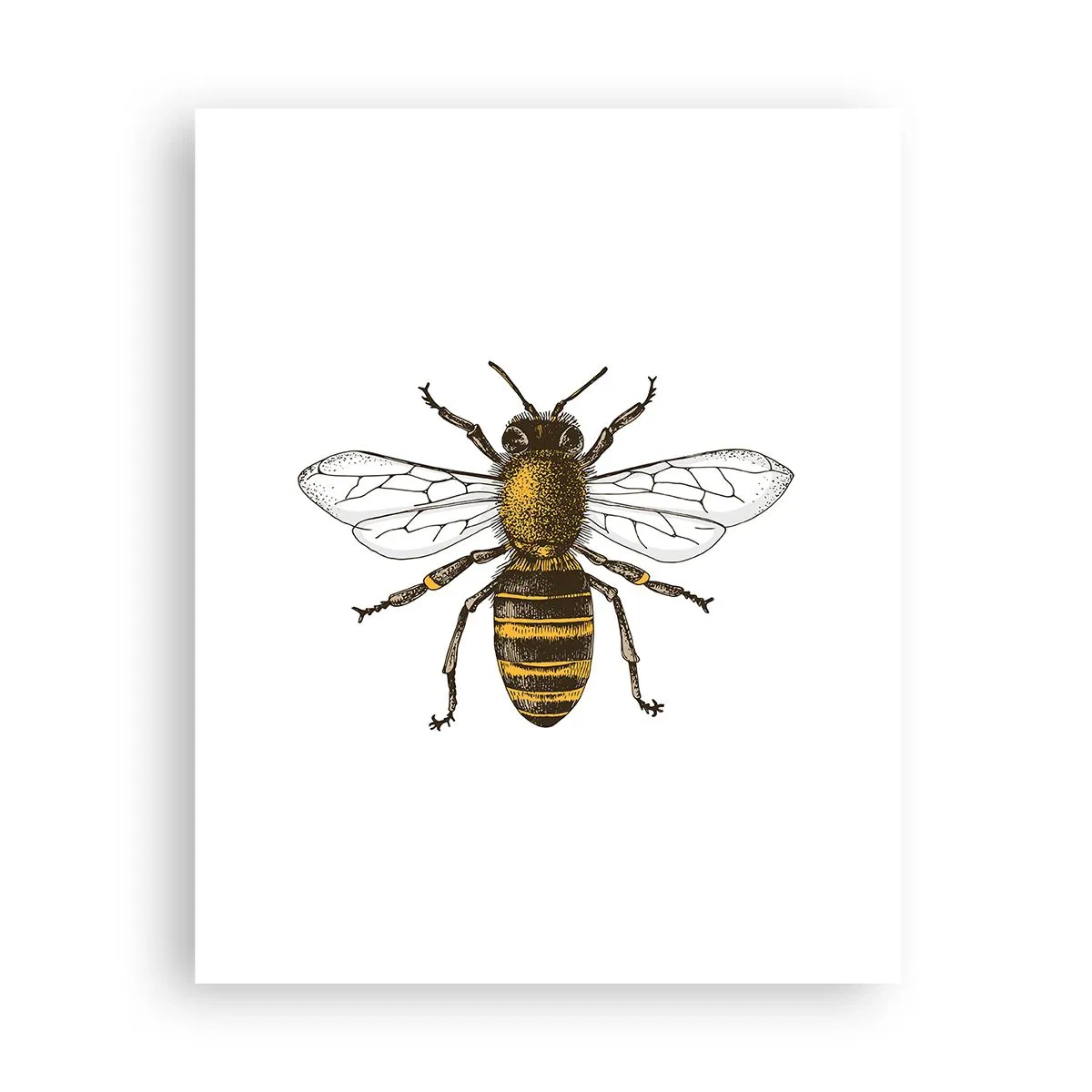 Poster - Mooi en goed - 40x50 cm